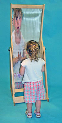 Solid Beech Novelty Mirror