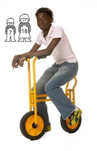 RABO Artist Bike