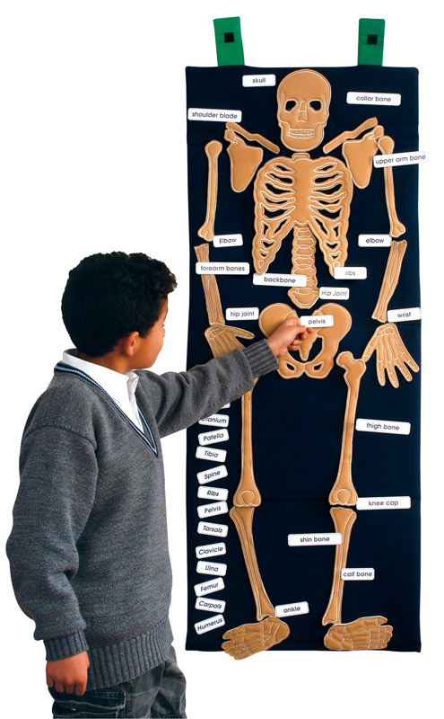 Bag o' Bones Bag o' Bones