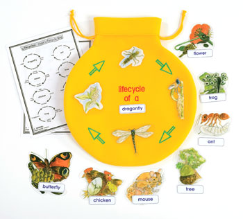 Class Lifecycle Bag
