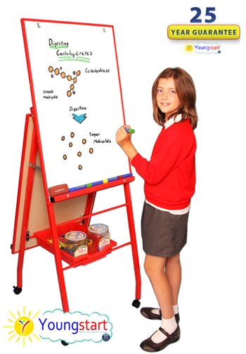 Height Adjustable - Double Boarded Mobile Easel - Portrait