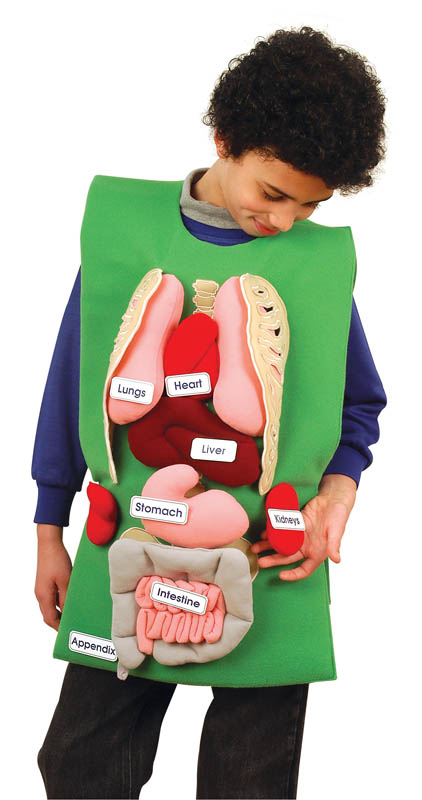 Organ Tunic & Organ Sets Organ Tunic & Organ Sets