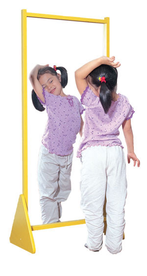 Mirror Panel
