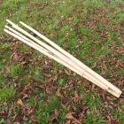 !!<<span style='font-size: 12px;'>>!!Large Bamboo Sticks - Pack Of 5!!<</span>>!! - view 2