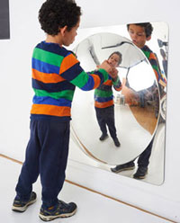 Giant Acrylic Single Dome Mirror - 780 x 780mm