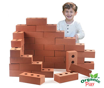 Foam Bricks (50Pk) 