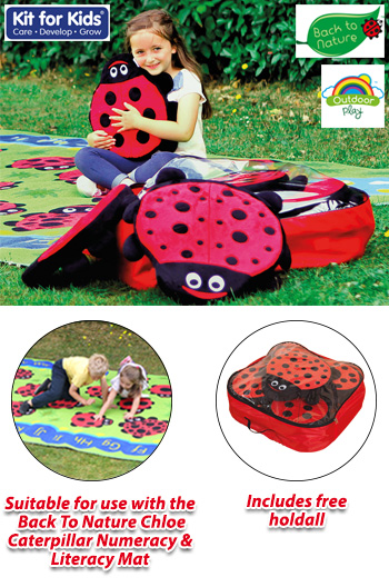 Back To Nature™ Ladybird Counting Story Cushions