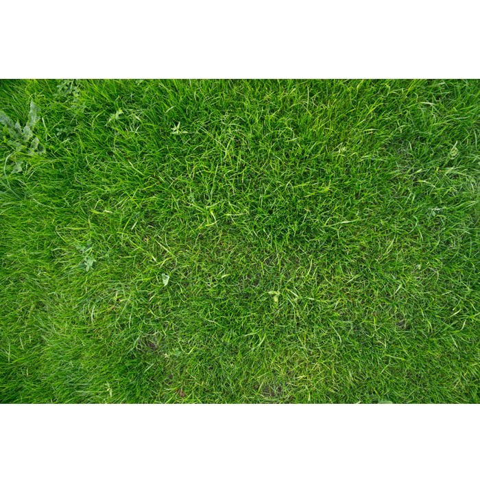 Grass Playmat - 1.5m x 1m