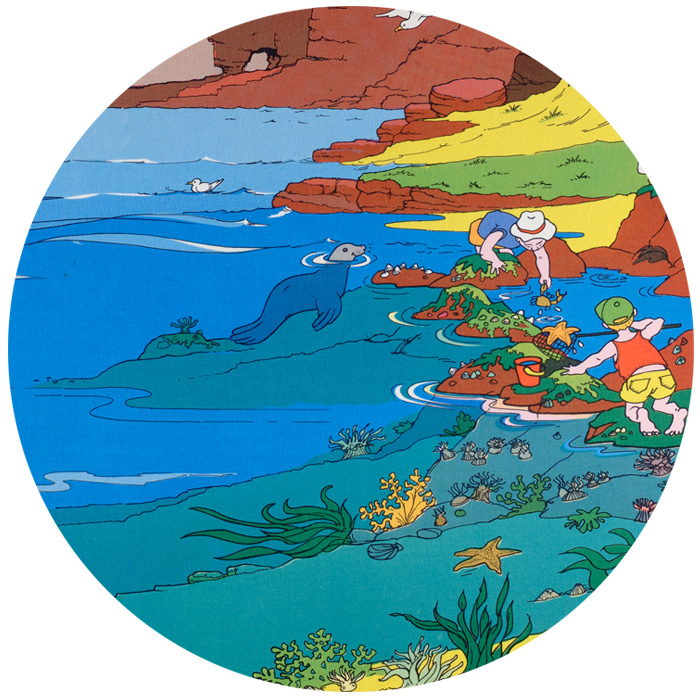 Tuff Tray Rockpool World Mat