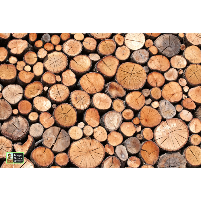 Logs Playmat - 1m x 1m