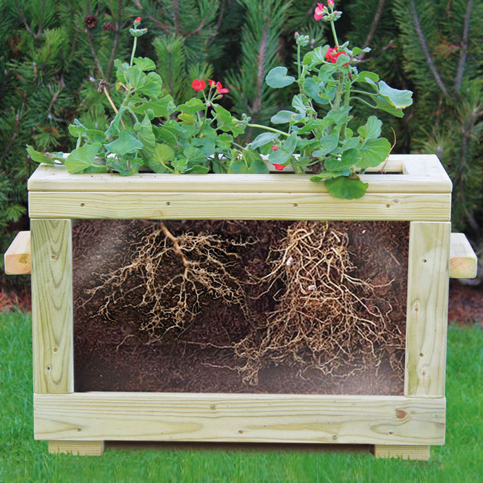 Outdoor Watch Me Grow Planter