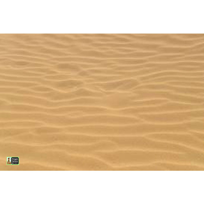 Sand Playmat - 1m x 1m
