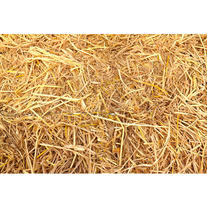 Straw Playmat - 1.5m x 1m