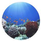 Sensory Mood Discovery Table & Under The Sea Discovery Play Mat   - view 2