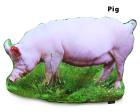 !!<<span style='font-size: 12px;'>>!!Farm Animal Bean Bags (Set of 3) !!<</span>>!! - view 3