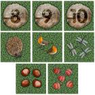 Woodland Set Of 35 Counting Mini Placement Carpets With Holdall - 4m x 4m - view 5